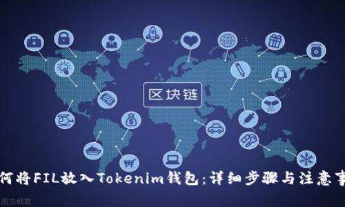 如何将FIL放入Tokenim钱包:详细步骤与注意事项