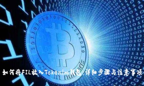 如何将FIL放入Tokenim钱包:详细步骤与注意事项
