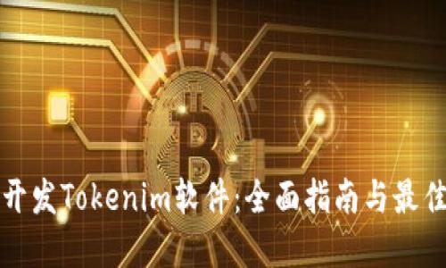 如何开发Tokenim软件:全面指南与最佳实践