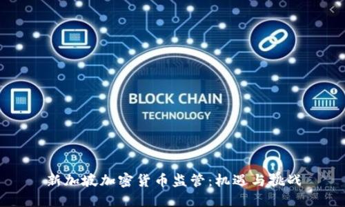 新加坡加密货币监管:机遇与挑战
