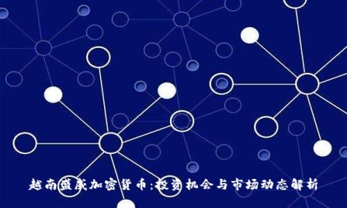 越南盛威加密货币:投资机会与市场动态解析