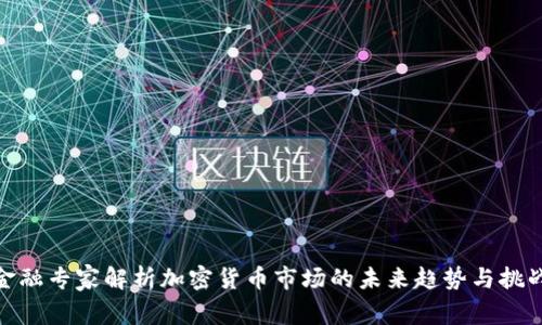 金融专家解析加密货币市场的未来趋势与挑战