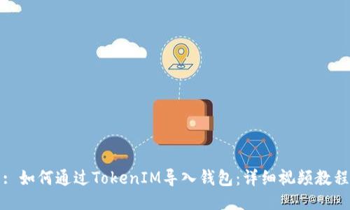 : 如何通过TokenIM导入钱包:详细视频教程