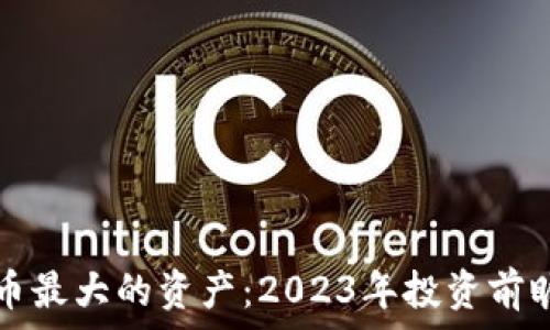 加密货币最大的资产:2023年投资前瞻及分析