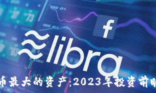 加密货币最大的资产:2023年投资前瞻及分析