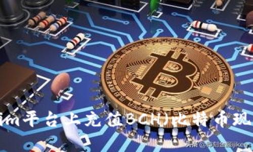 如何在Tokenim平台上充值BCH(比特币现金):详细指南