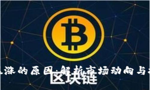 加密货币暴涨的原因:解析市场动向与投资者心态