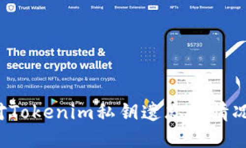 : 如何应对Tokenim私钥遗忘的情况:完整指南