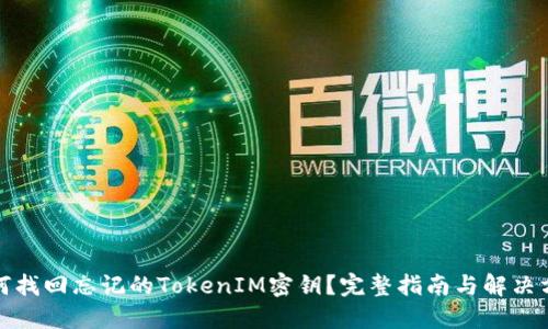 如何找回忘记的TokenIM密钥?完整指南与解决方案