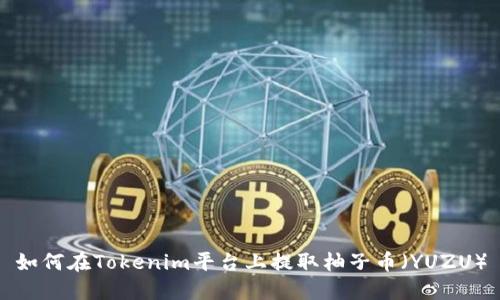 如何在Tokenim平台上提取柚子币(YUZU)