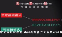 加密货币失踪案件:揭秘数字资产背后的神秘消
