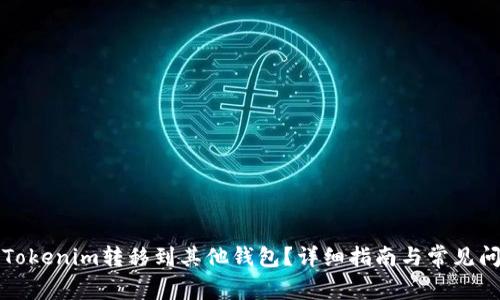 如何将Tokenim转移到其他钱包?详细指南与常见问题解答