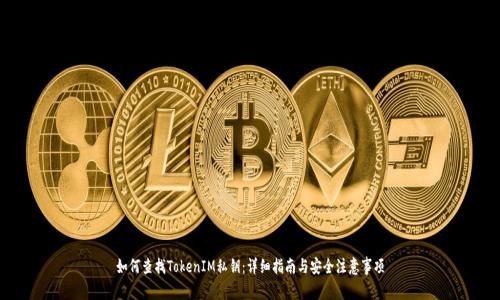 如何查找TokenIM私钥:详细指南与安全注意事项