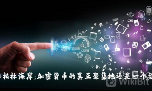 揭秘柏林海岸:加密货币的真正聚集地还是一个误区?