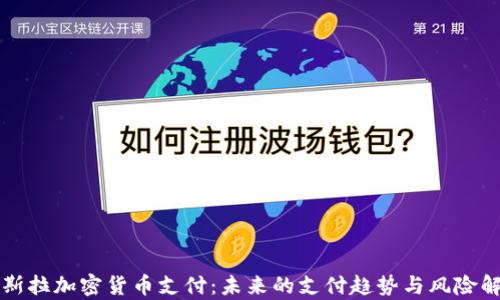 特斯拉加密货币支付:未来的支付趋势与风险解析