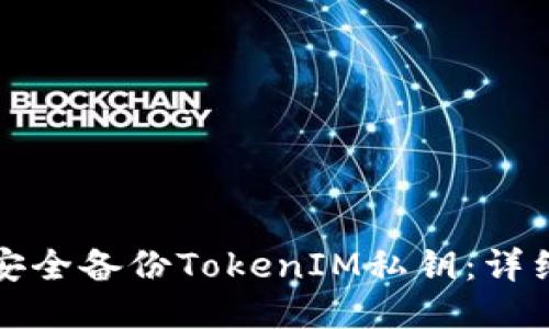 如何安全备份TokenIM私钥:详细指南