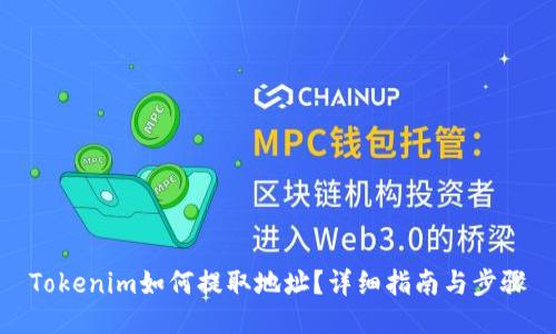Tokenim如何提取地址?详细指南与步骤