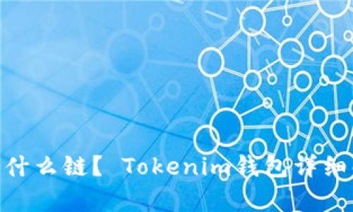 Tokenim钱包是什么链? Tokenim钱包详细解析及使用指南