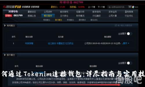 如何通过Tokenim连接钱包:详尽指南与实用技巧