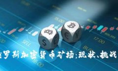 深入探讨俄罗斯加密货币矿场:现状、挑战与未