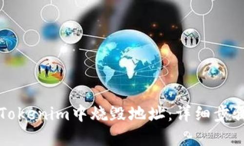 如何在Tokenim中烧毁地址:详细步骤与指南