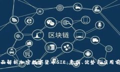 全面解析加密数字货币SIE:意图、优势与应用前