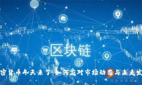 加密货币冬天来了:如何应对市场动荡与未来发展