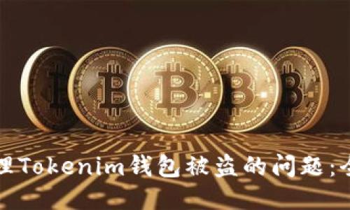 如何处理Tokenim钱包被盗的问题:全面指南
