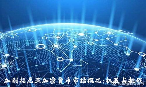 加利福尼亚加密货币市场概况:机遇与挑战