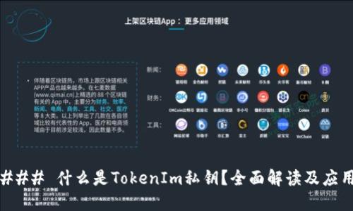 ### 什么是TokenIm私钥?全面解读及应用