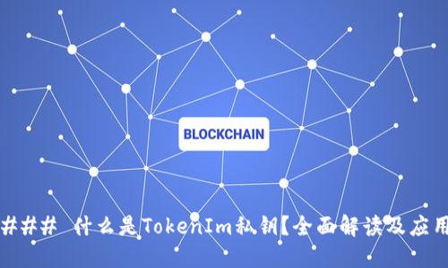 ### 什么是TokenIm私钥?全面解读及应用