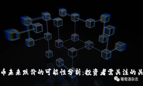 加密货币未来跌价的可能性分析:投资者需关注的关键因素