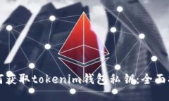 如何获取tokenim钱包私钥:全面指南