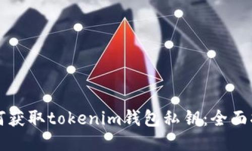 如何获取tokenim钱包私钥:全面指南