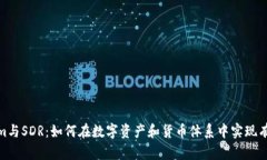 Tokenim与SDR:如何在数字资产和货币体系中实现有