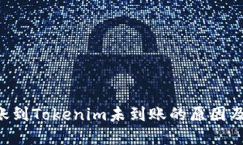 : EOS转账到Tokenim未到账的原因及解决方法