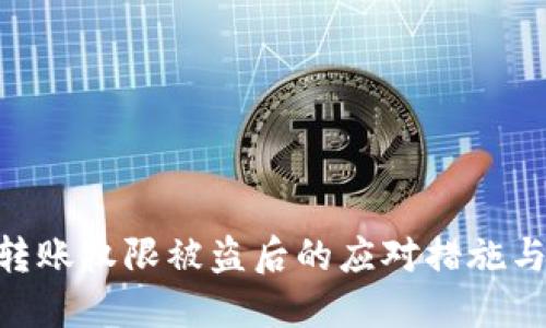 Tokenim转账权限被盗后的应对措施与解决方案