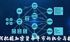 如何把握加密货币牛市的机会与挑战