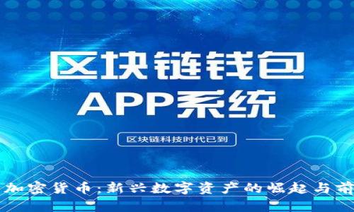 特拉斯加密货币：新兴数字资产的崛起与前景分析