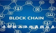 加密数字货币价格上涨的原因及未来趋势分析