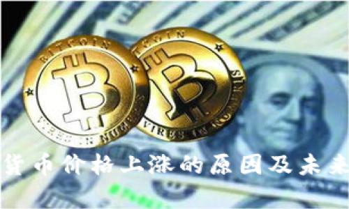 加密数字货币价格上涨的原因及未来趋势分析