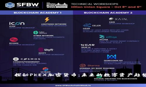 探秘PKEX加密货币:未来的数字资产趋势
探秘PKEX加密货币:未来的数字资产趋势