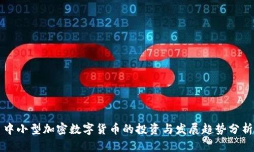 中小型加密数字货币的投资与发展趋势分析