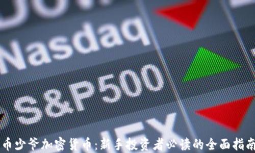 币少爷加密货币:新手投资者必读的全面指南