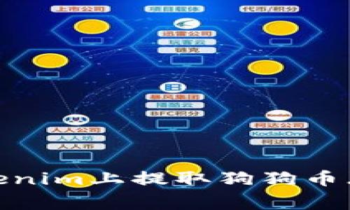 如何在Tokenim上提取狗狗币(Dogecoin)
