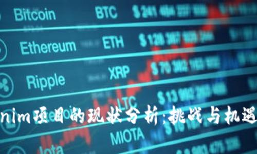 Tokenim项目的现状分析:挑战与机遇并存