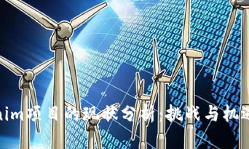 Tokenim项目的现状分析:挑战与机遇并存