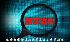 加密数字货币的浅析与未来发展趋势