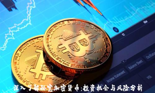 深入了解孙宽加密货币:投资机会与风险分析