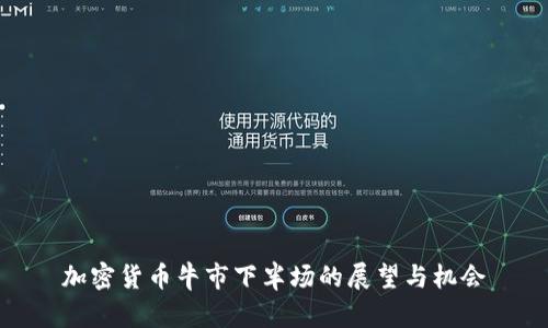 加密货币牛市下半场的展望与机会